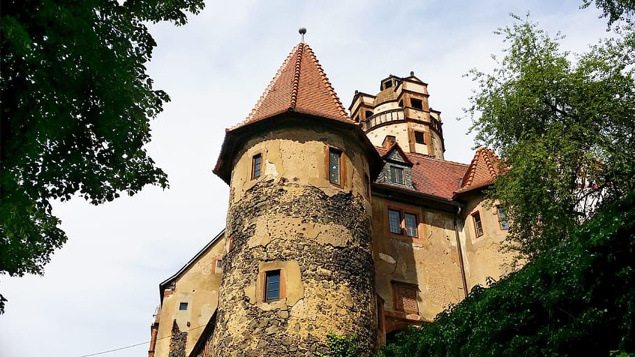 Ronneburg, Castle, Hesse, tree, history, architecture, building exterior