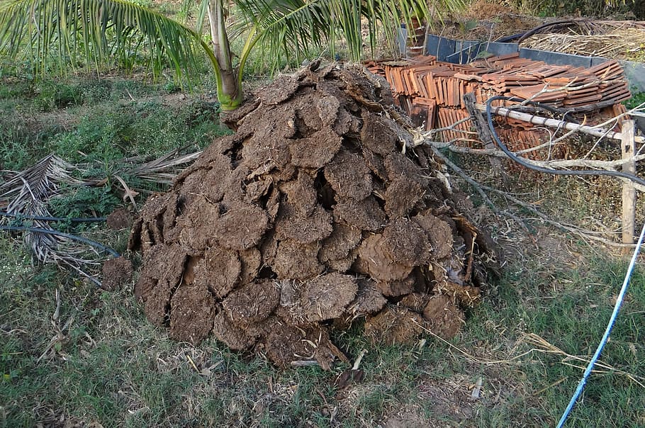 pile of compost material on green grass during daytime, Cow Dung