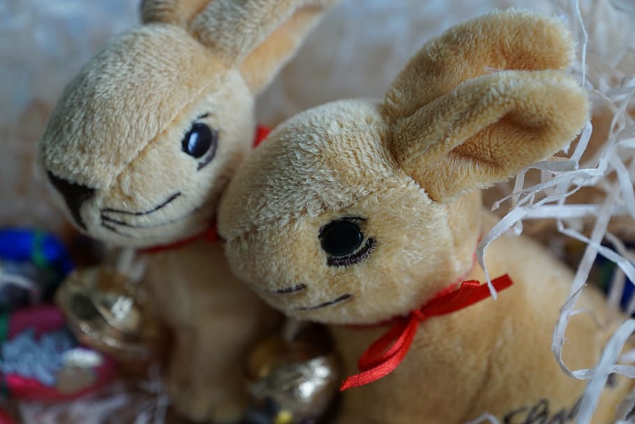 easter, rabbit, egg, festival, chocolate, animal, spring, easter eggs HD wallpaper