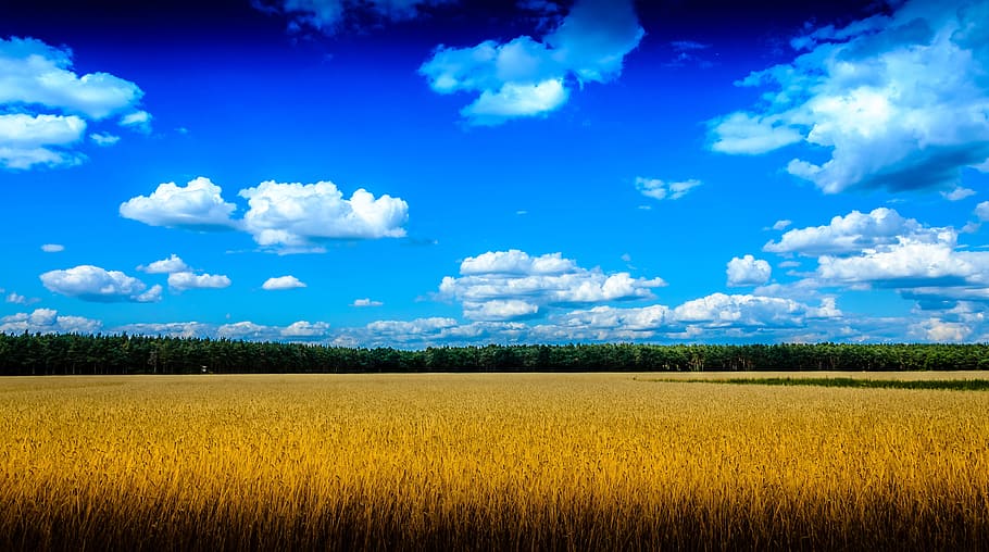 nature, field, view, clouds, sky, landscape, hdr image, cloud - sky HD wallpaper