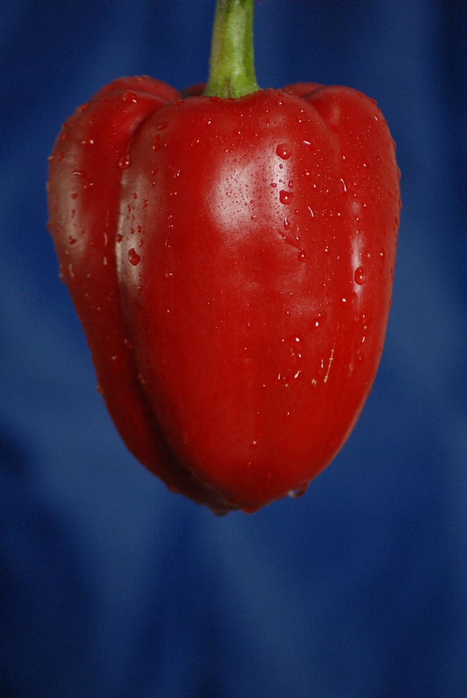 bell pepper, fruit, vegetable, food, food and drink, red, freshness HD wallpaper