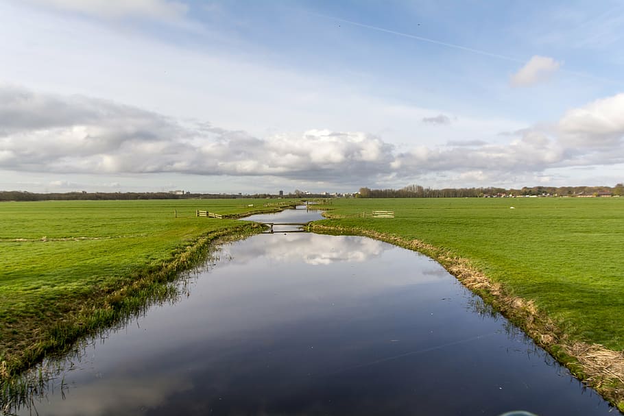 body of water and grass field, dutch landscape, river, meadows HD wallpaper