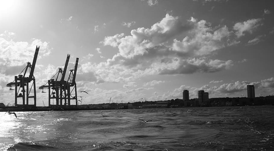 hamburg port, gantry cranes, gulls, elbe, sea, industry, oil Rig, HD wallpaper