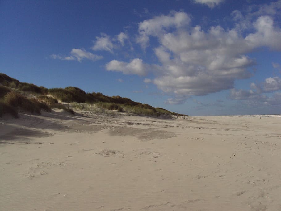 beach, salt marsh, ameland, sand, sand Dune, nature, desert HD wallpaper