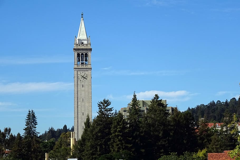 campanile, sather tower, university, building, campus, california, HD wallpaper