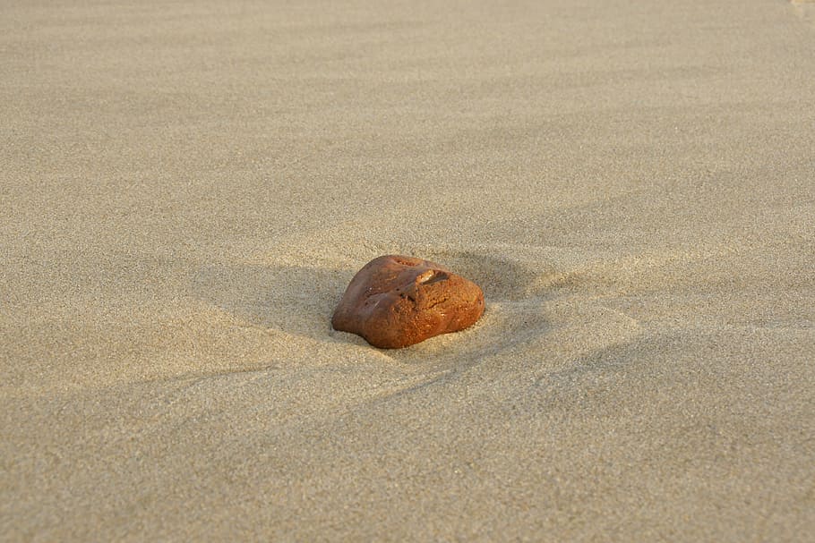 sand, beach, stone, washed up on, sunrise, pebble, nature, close HD wallpaper