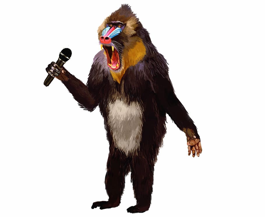 baboon, microphone, monologue, studio shot, white background HD wallpaper