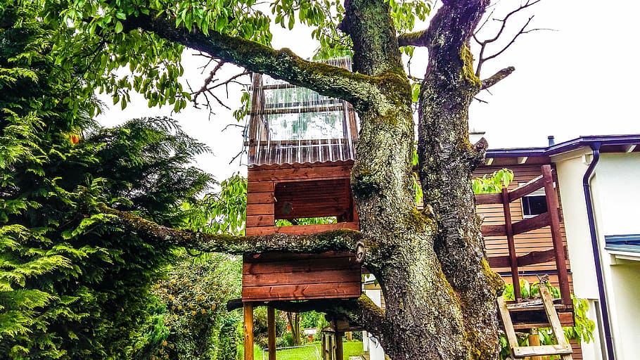 tree, treehouse, nature, tree hut, wood, play, retreat, mood