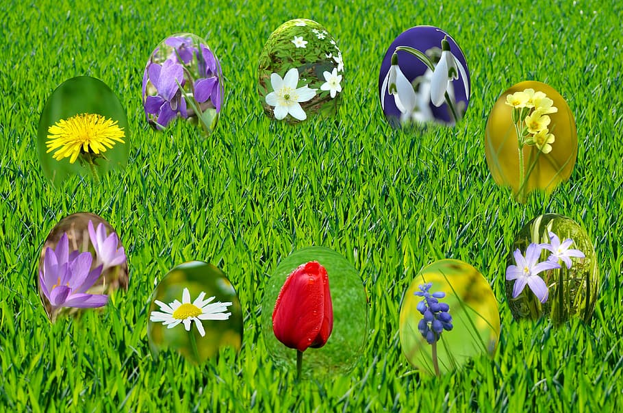 easter, eggs, spring, sun, grass, green, sky, blue, light, primrose HD wallpaper