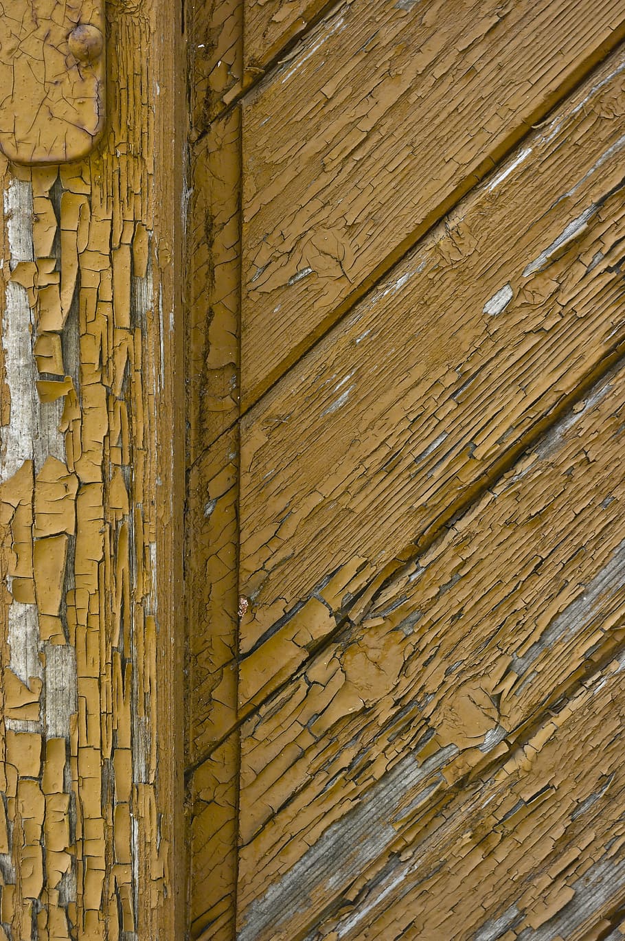 paint, old, tree, background, surface, wood texture, wood - material HD wallpaper