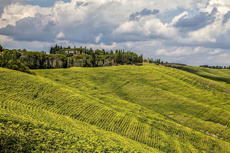 green field mountain during daytime, landscape photography of green grass field, HD wallpaper
