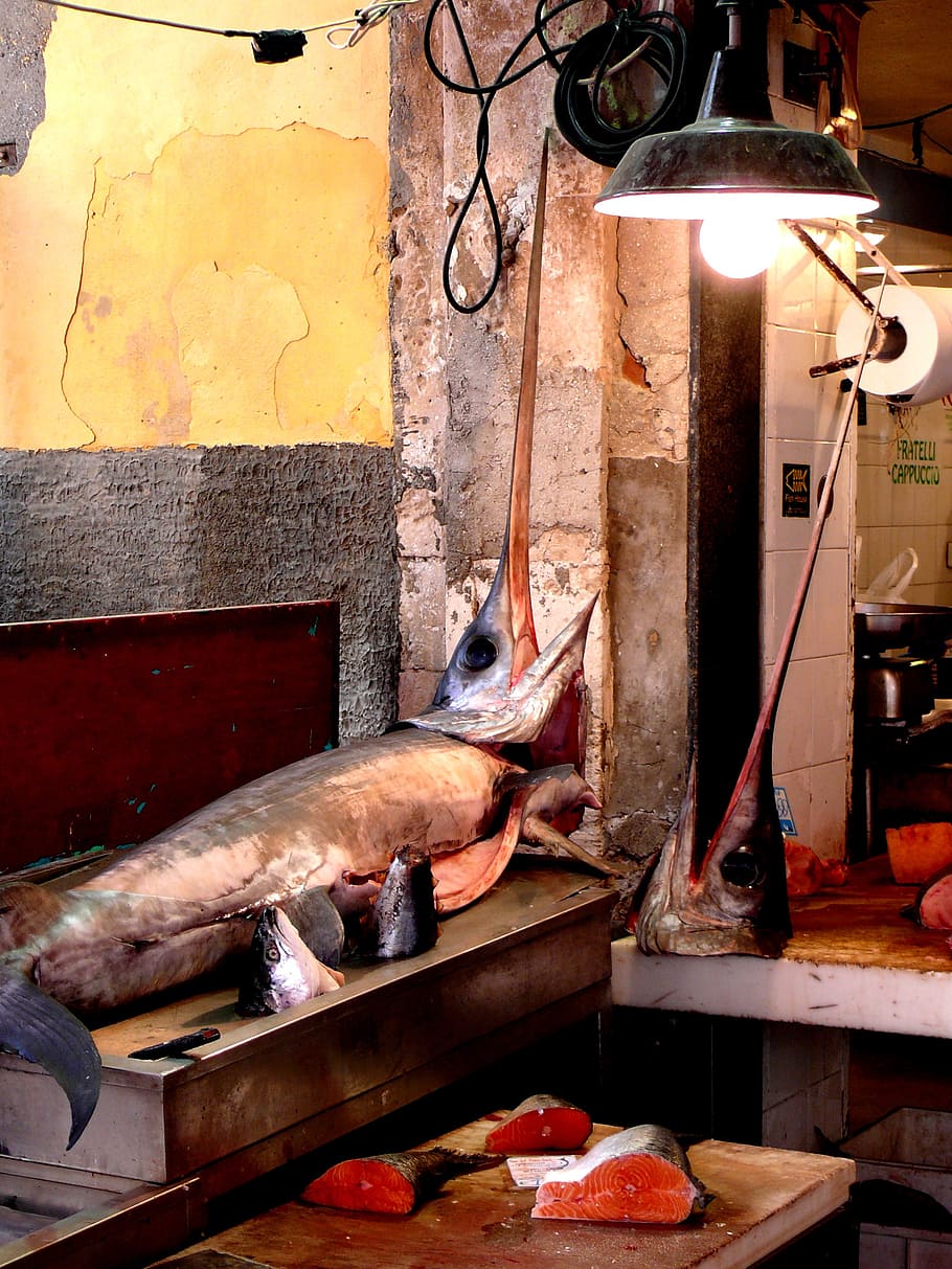 syracuse, traditional fishing, swordfish, sicily, fisherman, HD wallpaper