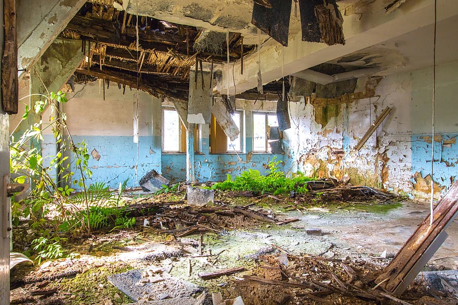 Space, Moss, Plant, Light, Architecture, old building, historically HD wallpaper