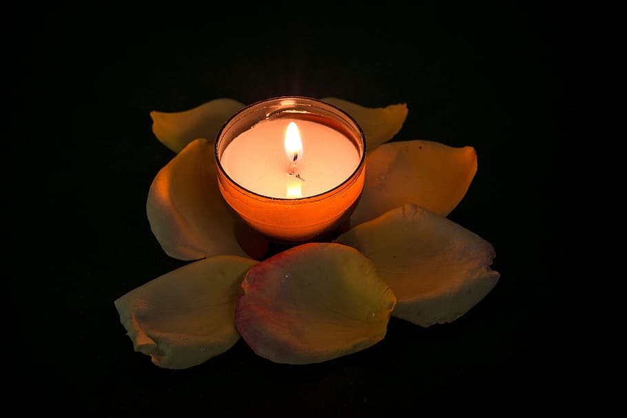 orange votive candle, rose, tealight, quiet, contemplative, rest