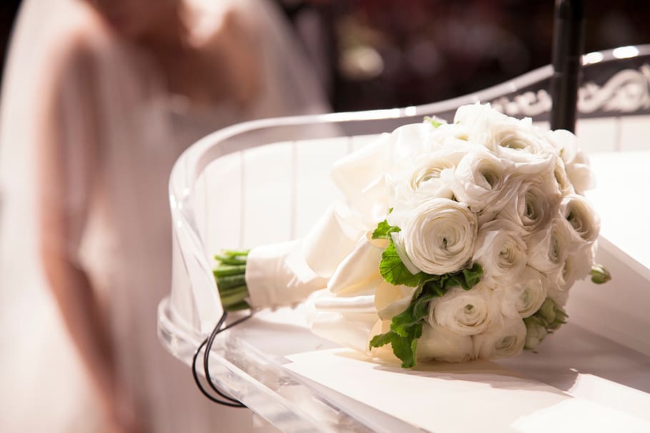 white roses bouquet on white surface, flower, petal, bloom HD wallpaper
