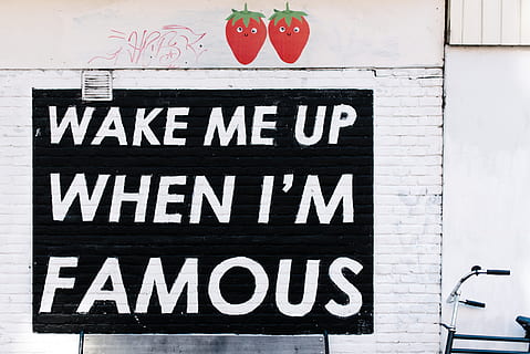 Wake Me Up When I'm Famous text, white, brick, wall, quote HD wallpaper