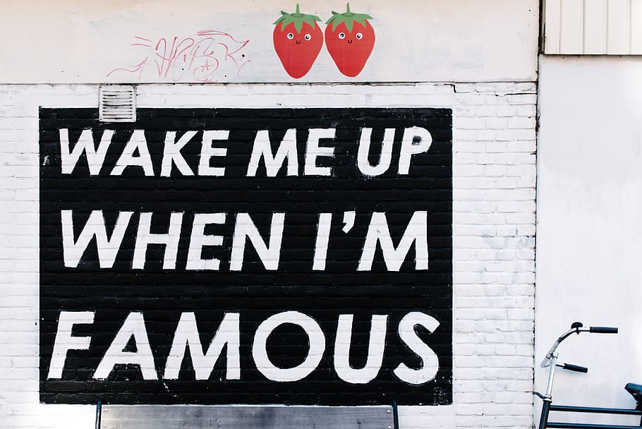 Wake Me Up When I'm Famous text, white, brick, wall, quote HD wallpaper