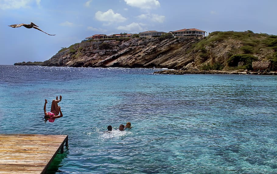 Bathing, Diving, Holiday, Sea, Caribbean, ocean, beach, side HD wallpaper