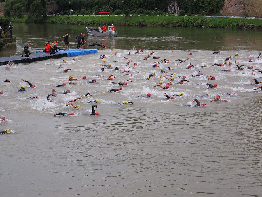 competition, crawl, involved, swim, track and field athletes HD wallpaper