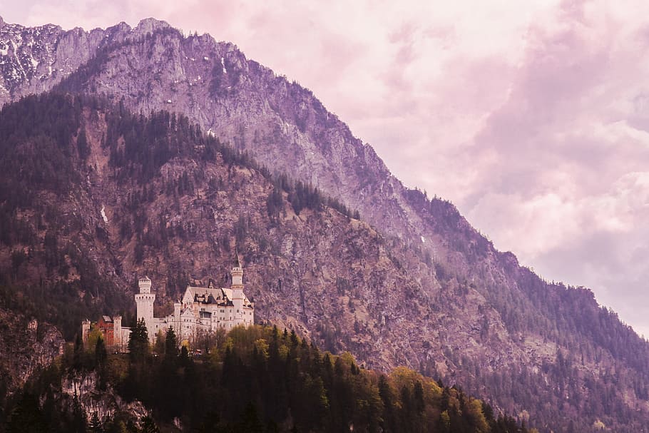 nature, landscape, mountain, woods, forest, trees, travel, adventure HD wallpaper