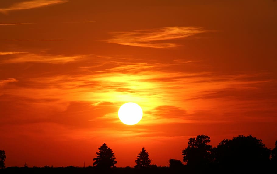 silhouette of trees during daytime, sunset, abendstimmung, setting sun HD wallpaper