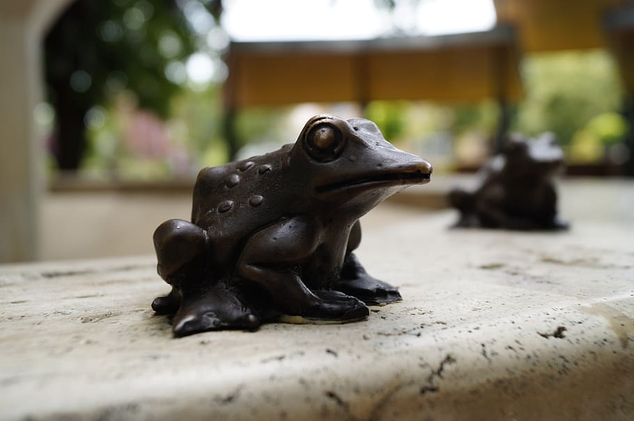frog, statue, fountain, animal representation, art and craft HD wallpaper