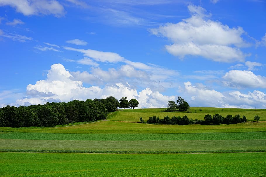 fields, reported, swabian alb, rand ecker maar, breitenstein HD wallpaper