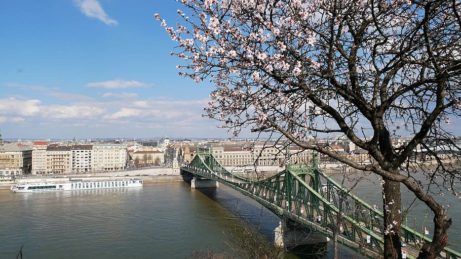 bridge, budapest, hungary, ungarn, danube, river, travel, famous HD wallpaper