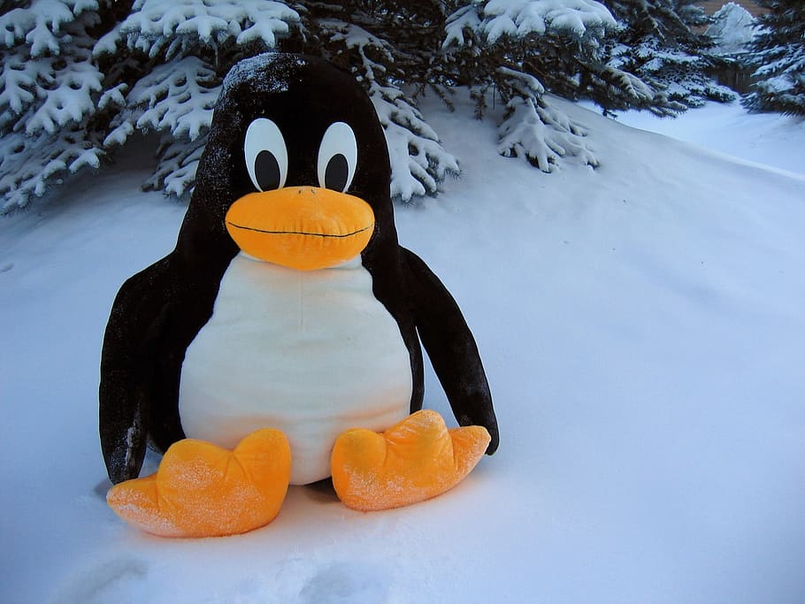 Linux, Penguin, Snow, Toy, Bird, funny, fantasy, fat, cute, HD wallpaper