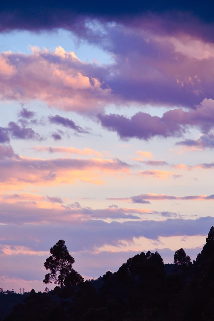 sunset, mountain, tree, cloud, kasumi, chenguang, plateau, tourism HD wallpaper