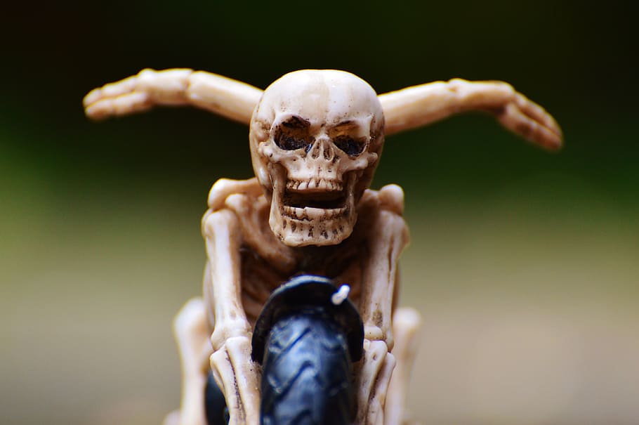 biker, skeleton, creepy, weird, decoration, scary, bone, horror HD wallpaper