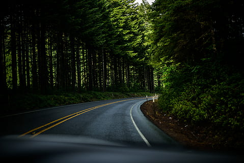 asphalt road surrounded green trees field, window glass displaying road HD wallpaper