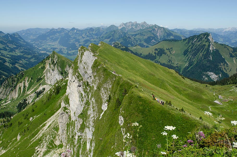 mountains covered with green plants, aerial photography of mountains at daytime HD wallpaper