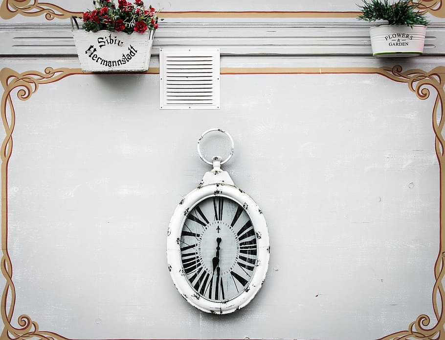 wall, clock, flower, pot, vase, plants, design, time, no people HD wallpaper