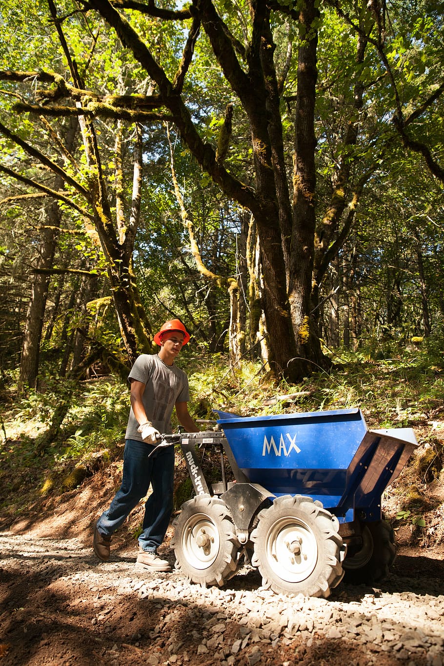hard work, labor, construction worker, trail, trail worker HD wallpaper