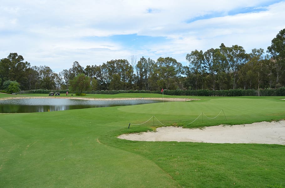 golf, marbella, spain, plant, tree, sport, green color, grass HD wallpaper