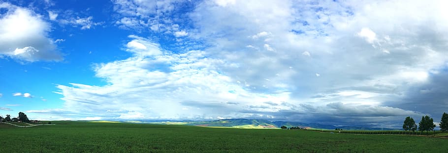 green grass field under blue sky at daytime photo, Walla Walla, HD wallpaper