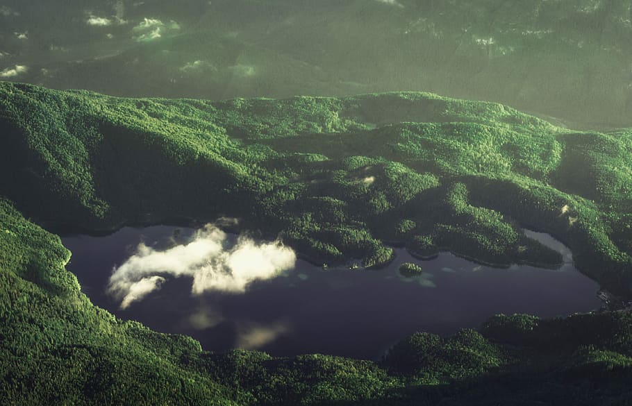 top view photo of lake, aerial photography of green mountain HD wallpaper