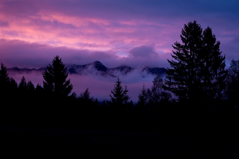 silhouette of pine trees across mountains, landscape, nature HD wallpaper