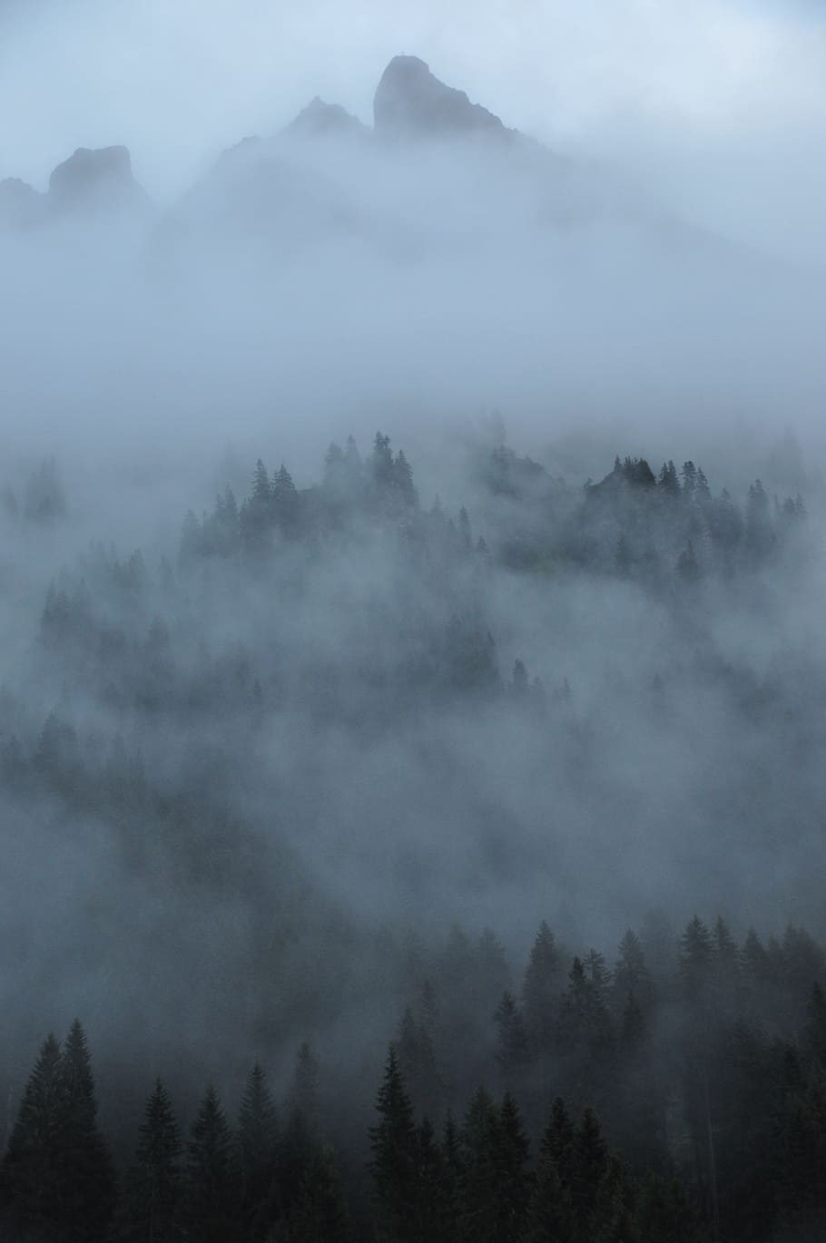 fog, clouds, mountains, forest, nature, landscape, mystical HD wallpaper