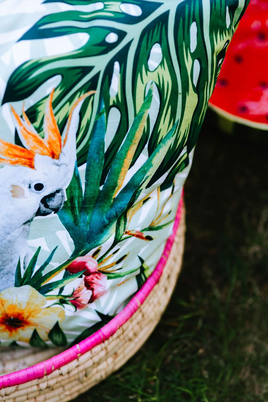 Exotic Garden Party Decorations, day, summer, flora, fun, outdoor HD wallpaper