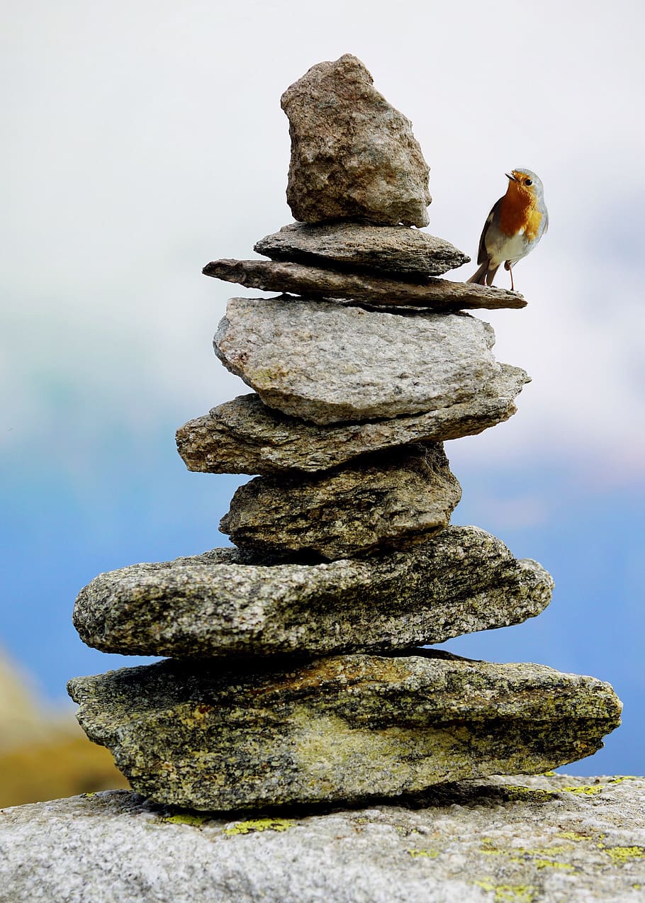 orange and white bird standing on stack on rock, cairn, stones, HD wallpaper