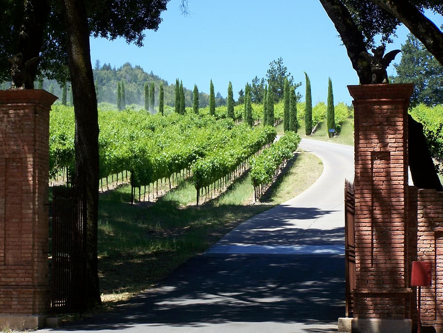 brown brick gate, winery, napa valley, california, wine country, HD wallpaper