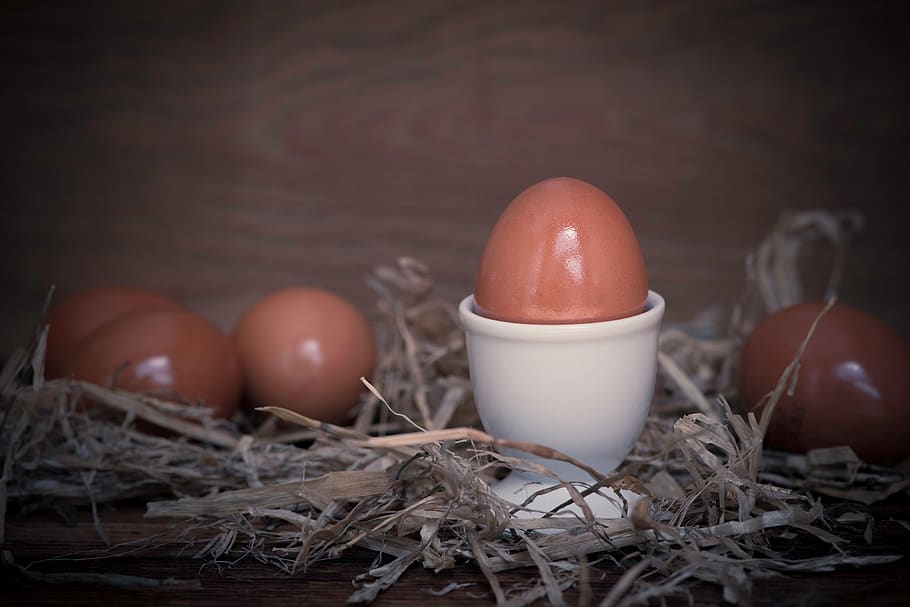 egg, hen's egg, food, nutrition, eat, eggshell, oval, close up HD wallpaper