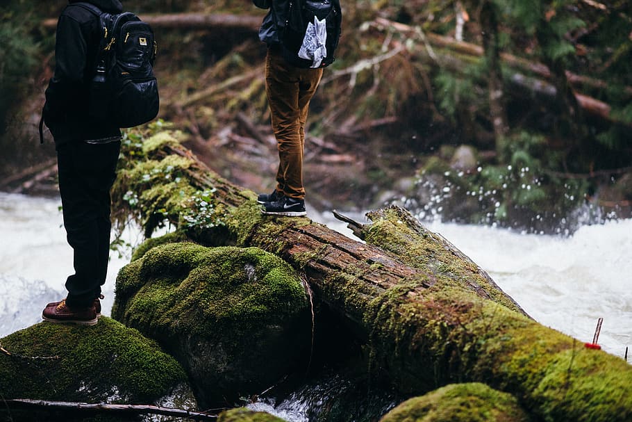 two men standing near river, two persons standing on tree log near river HD wallpaper