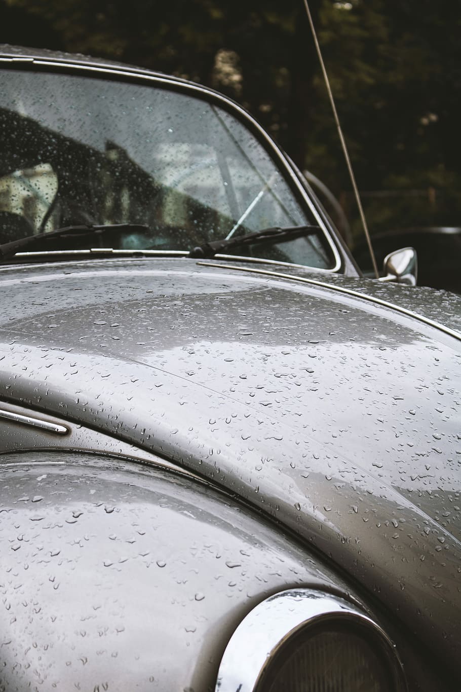 VW Käfer, gray Volkswagen Beetle with water dew at daytime, car HD wallpaper