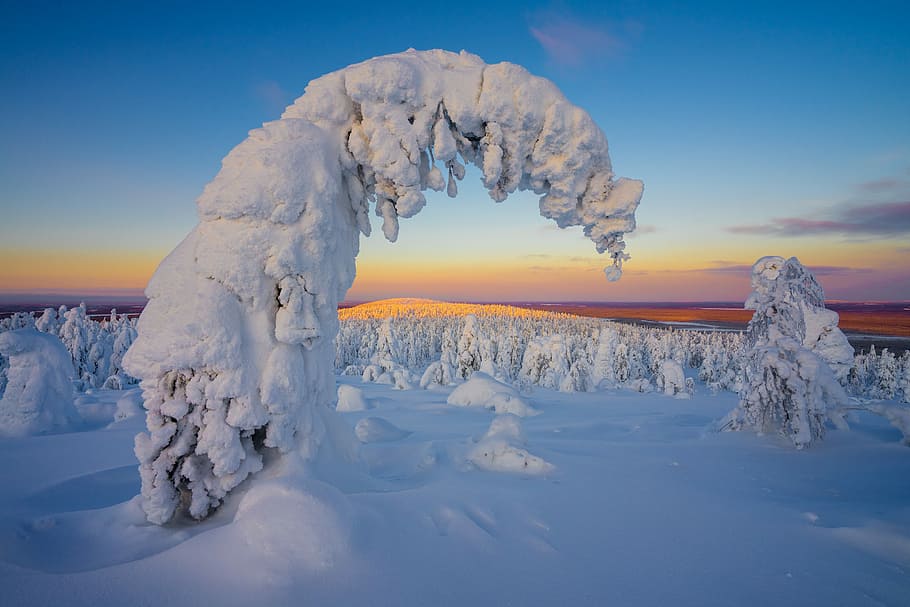 snow, winter, ice, cold, frozen, cold temperature, sky, beauty in nature HD wallpaper