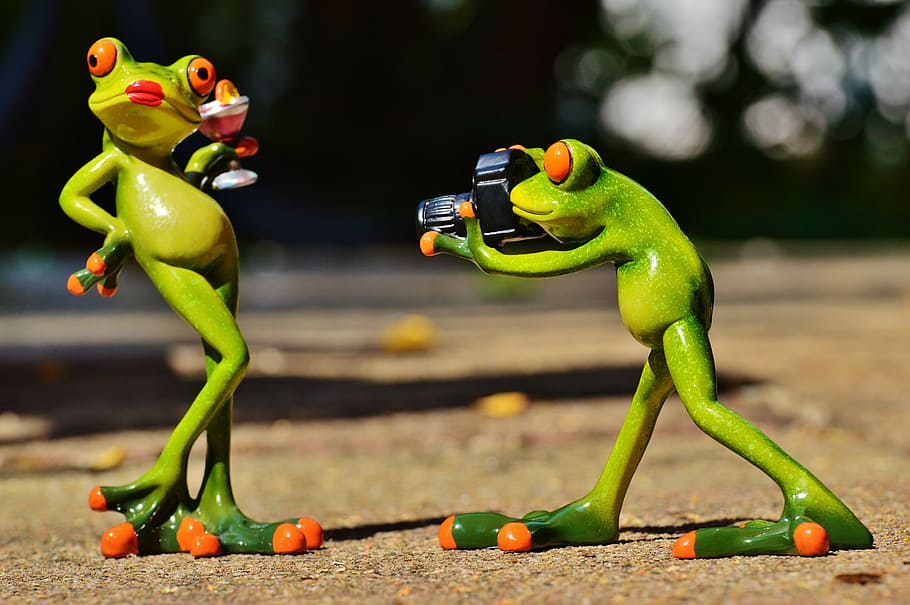 two green frog plastic toys, photographer, model, photo model, HD wallpaper