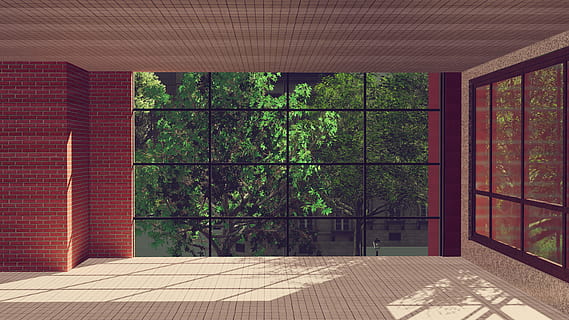 clear glass window, wood, inside, house, trees, room, indoors HD wallpaper