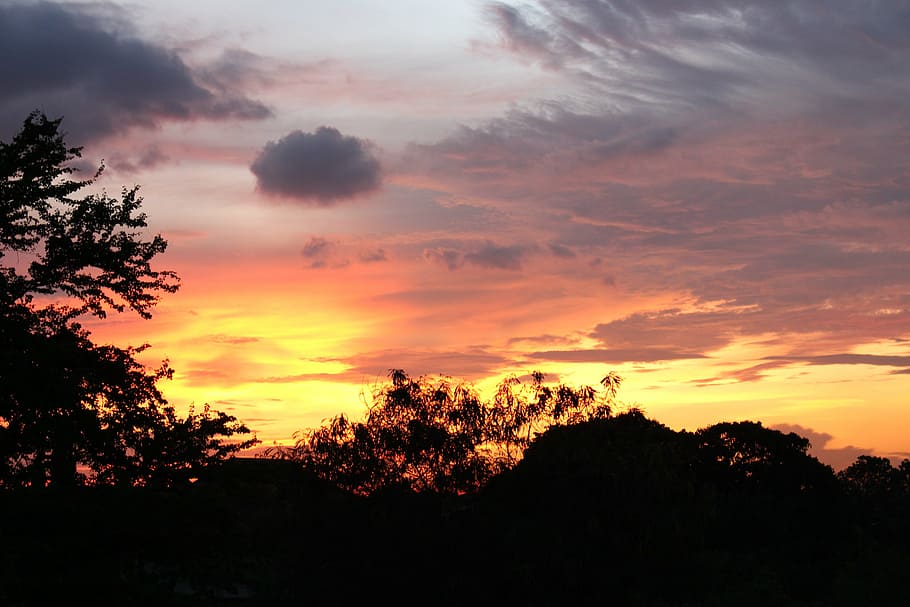 sunset, thailand, sky, cloud - sky, silhouette, tree, plant HD wallpaper